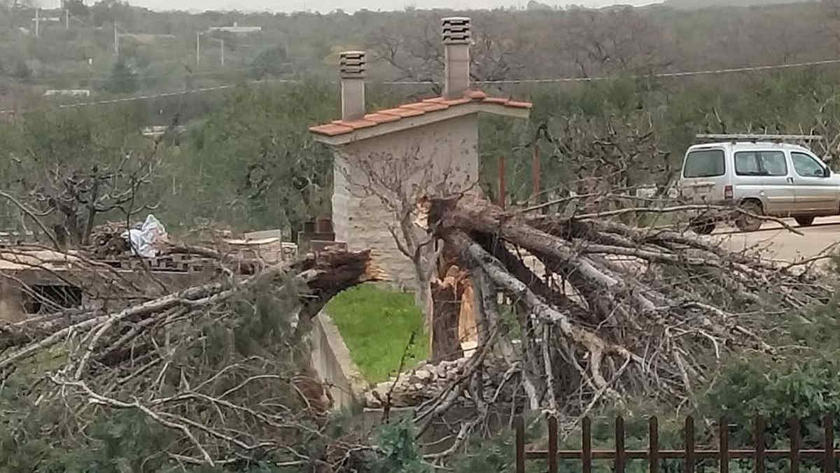 Maltempo in Puglia: piogge e vento colpiscono il Salento causando danni