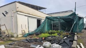 Tromba d'aria nel Brindisino, il comune chiede lo stato di calamità alla Regione Puglia