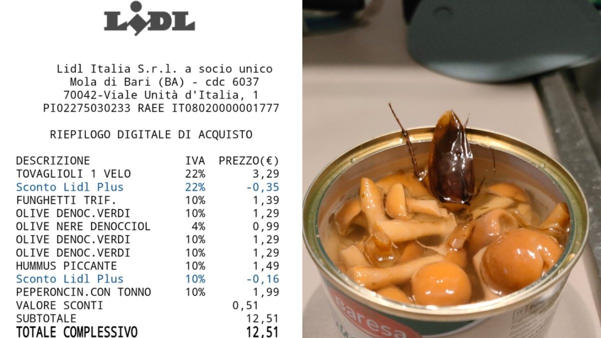 Una blatta nella scatola di funghi trifolati acquistati al supermercato: scoperta choc a Mola di Bari, pronta la denuncia al Nas.