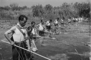 Una variante genetica nel DNA dei sardi offre protezione contro la malaria