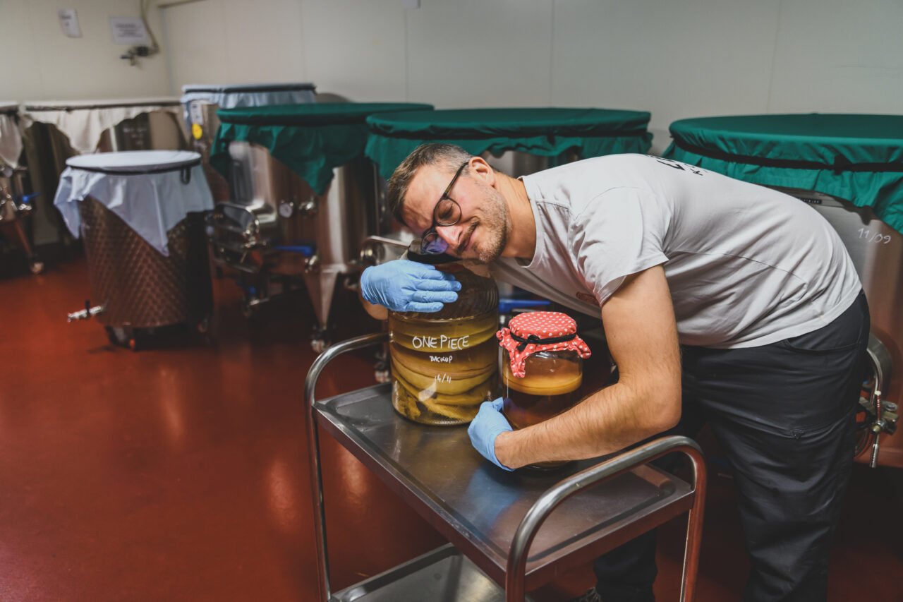 Fermentati sotto esame: la kombucha funziona davvero oppure è solo moda?