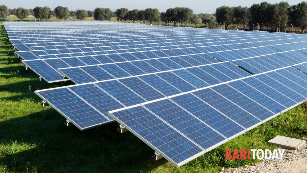 Fonti rinnovabili in Puglia: priorità alla tutela del paesaggio agricolo con una 'linea conservativa'