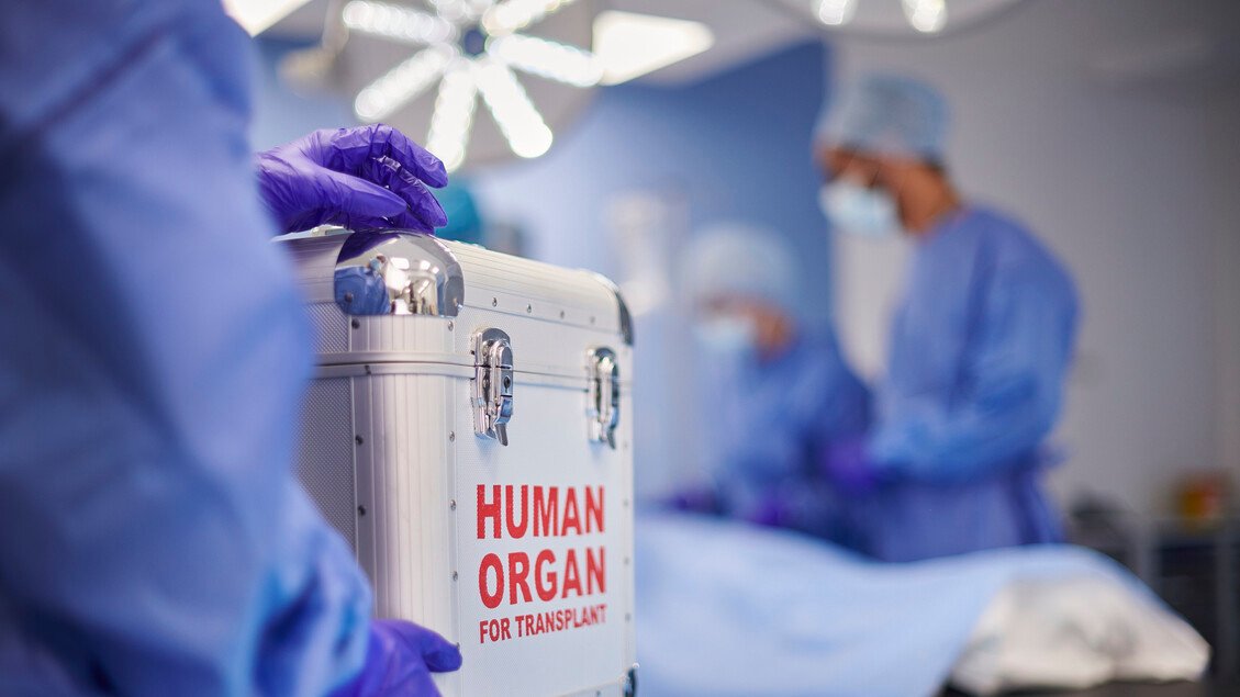 Il 2025: il miglior anno di sempre con 2.100 donazioni e 4.697 trapianti