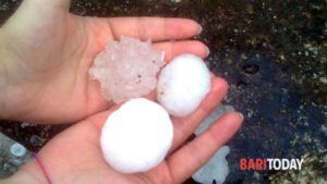 Maltempo e danni ai campi di Bari e provincia: "Troppi eventi estremi dall'inizio dell'anno"