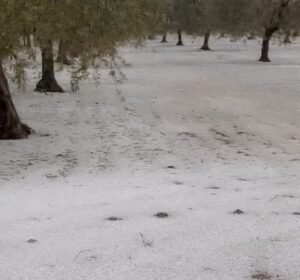 Maltempo in Puglia: San Severo richiede lo stato di calamità dopo la violenta grandinata