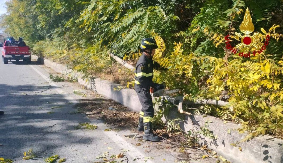 Maltempo in Puglia: forte vento nel Foggiano provoca caduta di alberi e cartelloni