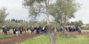 Oleoturismo in Puglia: il 28% dei turisti italiani sceglie esperienze tra ulivi e frantoi