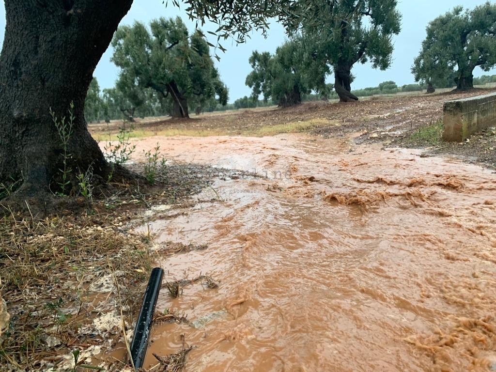 Puglia fragile: 29 eventi estremi in tre mesi e in arrivo fondi salva-imprese contro il dissesto
