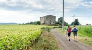Puglia, il boom dei cammini (+249%) travolto dalle polemiche: scontro sulla Via Francigena