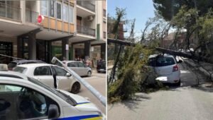 Raffiche di vento sferzano la Puglia: a Barletta un palo cade su un'auto. A Foggia e provincia, strage di alberi.