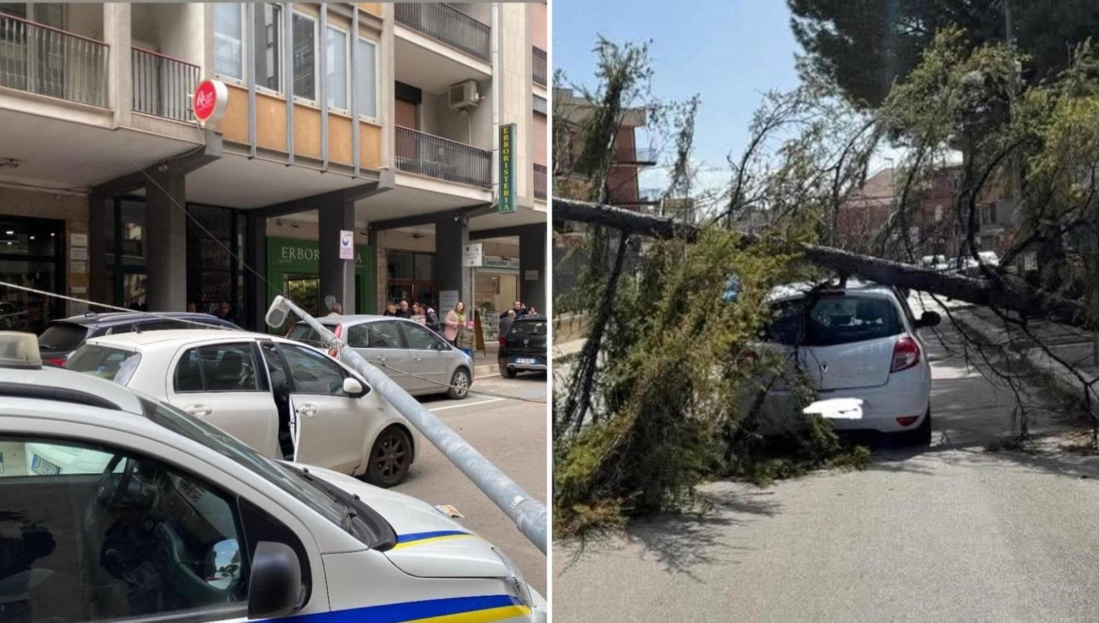 Raffiche di vento sferzano la Puglia: a Barletta un palo cade su un'auto. A Foggia e provincia, strage di alberi.