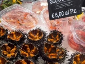 Ricci venduti a 6 euro ciascuno in Puglia, polemiche tra le pescherie e aumento dei sequestri
