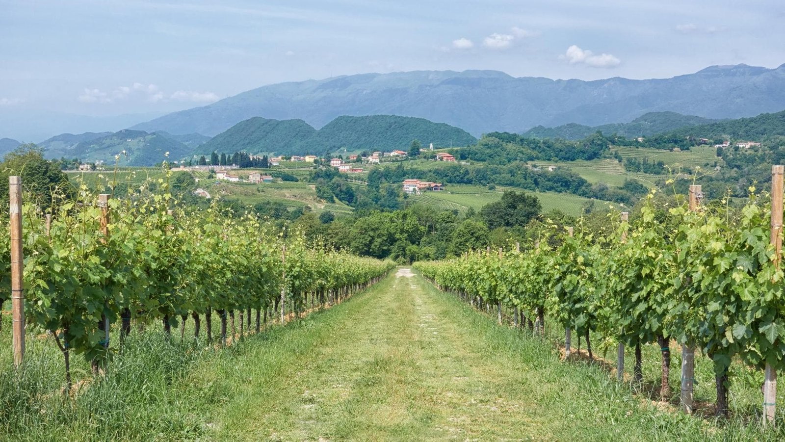 Turismo Dop: il Veneto guida l'Italia con un valore di quasi 5 miliardi di euro