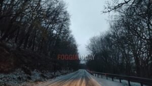 Venti di burrasca e neve in arrivo: allerta meteo in Capitanata