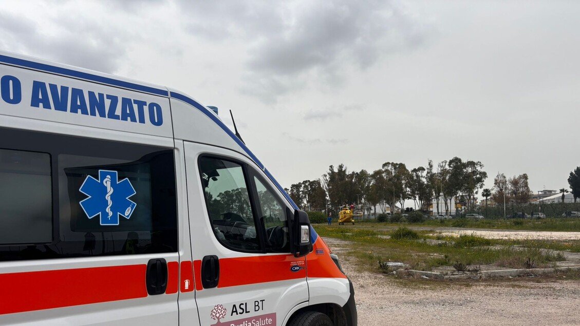 Albero cade per il vento, muore una 16enne in Puglia
