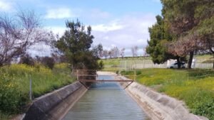 Assessore Puglia: "Con la Basilicata contrastiamo l'emergenza idrica"