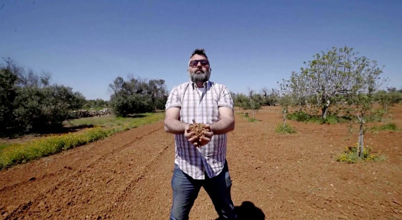 Muore durante il pranzo al Vinitaly: addio all'imprenditore salentino Stefano Adamo