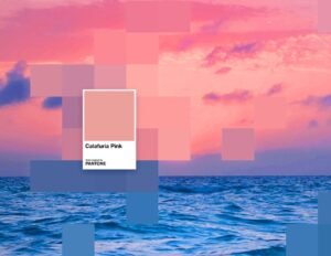 Pantone nel calice: quando il rosato diventa colore