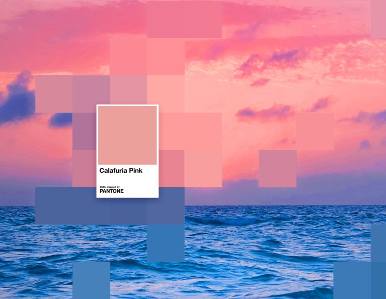 Pantone nel calice: quando il rosato diventa colore