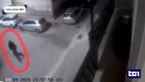 Personal trainer ucciso, indagini su uomo morto nel 2023