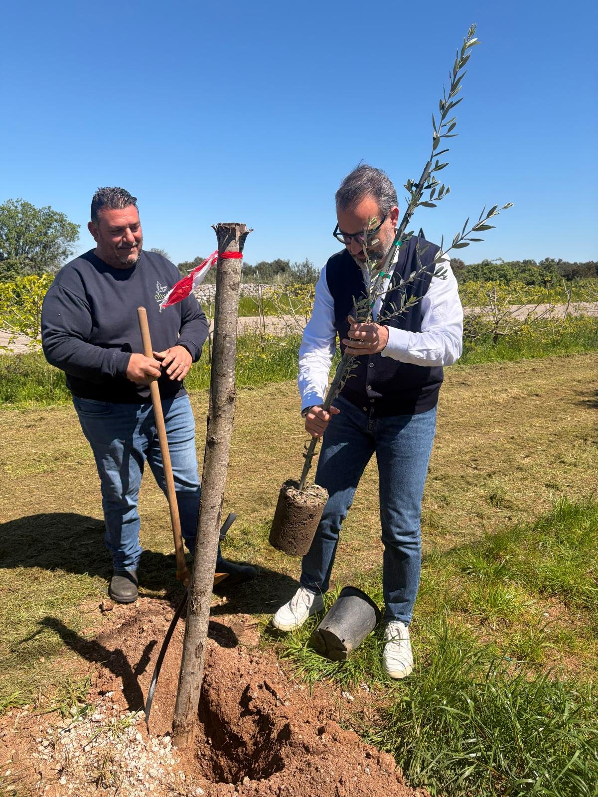 Puglia, l'assessore Francesco Paolicelli in visita a Olivami: piantato un ulivo simbolo di rinascita del Salento