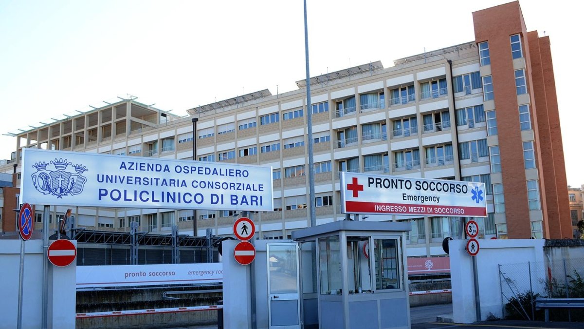 Schianto tra uno scooter e un cavallo imbizzarrito a Terlizzi: 18enne gravemente ferito mentre si dirige a scuola, è in rianimazione