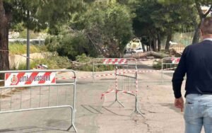 Vento in Puglia: un ragazzo di 12 anni muore schiacciato da un albero, un operaio perde la vita a Taranto.