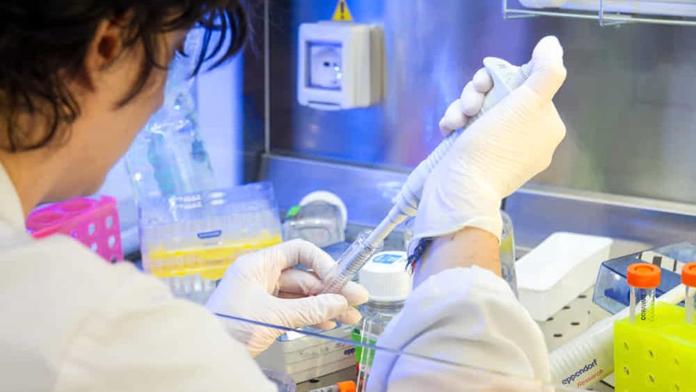 Hantavirus: linee guida e procedure per Asl e medici