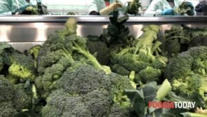 L'export della Puglia cresce e raggiunge circa 10 miliardi di euro, con Germania e Stati Uniti come principali partner.