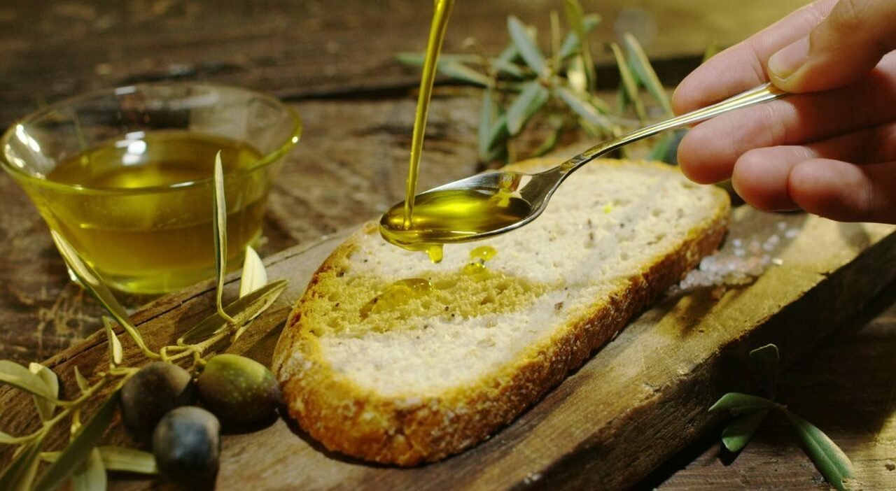 Oleoturismo: la nuova tendenza che sostiene l'economia agricola