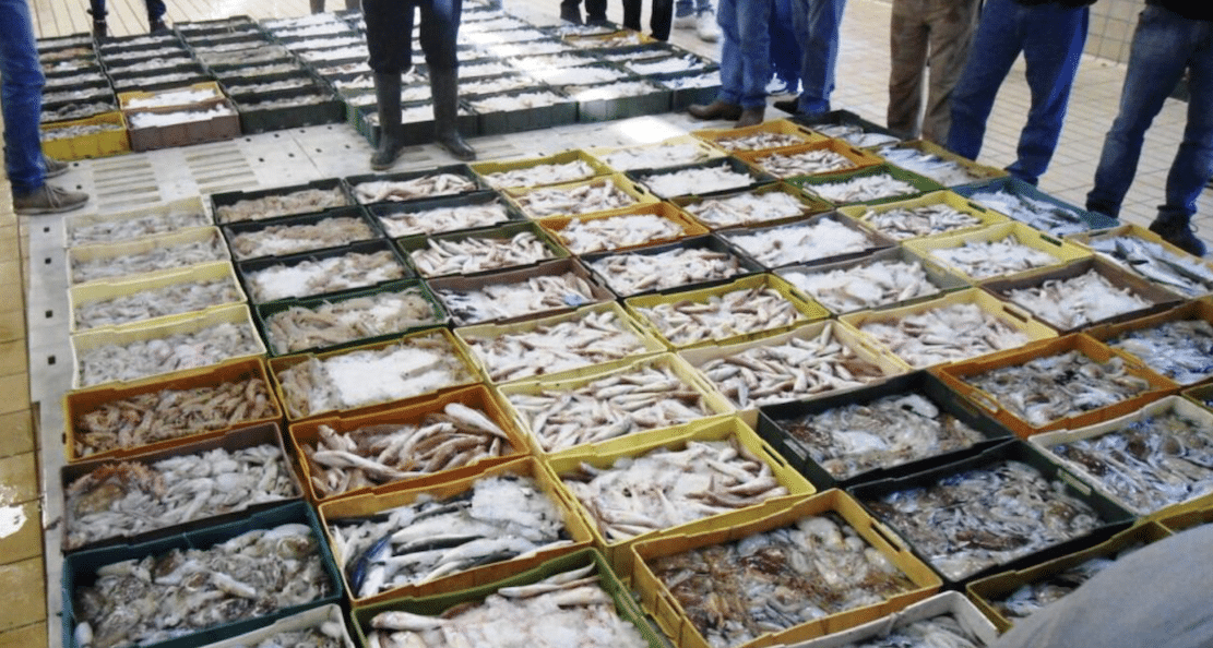 Pesca in crisi tra costi elevati e mercati instabili: 3,84 milioni per la Puglia, richiesti interventi immediati.