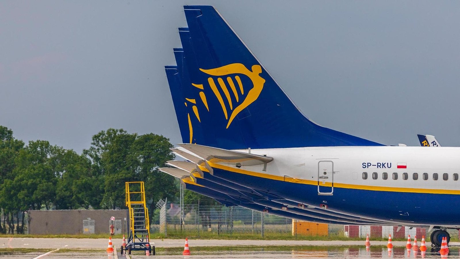 Ryanair registra un aumento dei passeggeri del 5% nonostante la guerra e l'aumento dei costi del carburante.