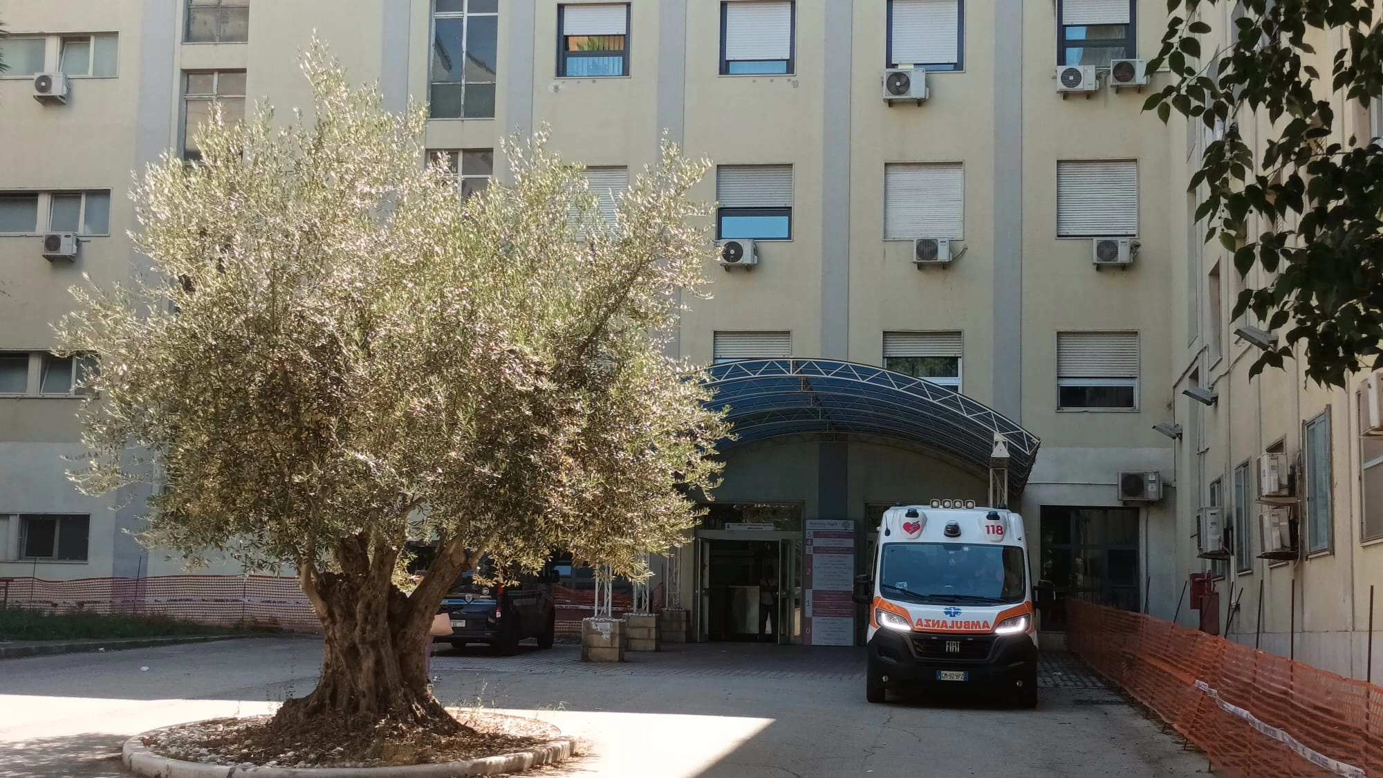 Sanità: la Regione Puglia approva il riparto 2025, oltre 7,4 miliardi alle ASL.