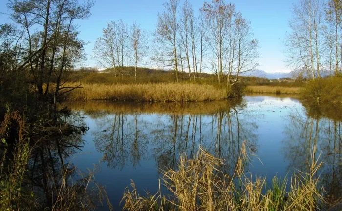 Weekend nel Varesotto: tra laghi, festival, vinili e sapori di Puglia